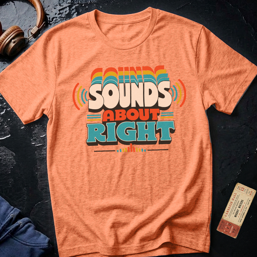 Sounds About Right Analog Audiophile T-Shirt