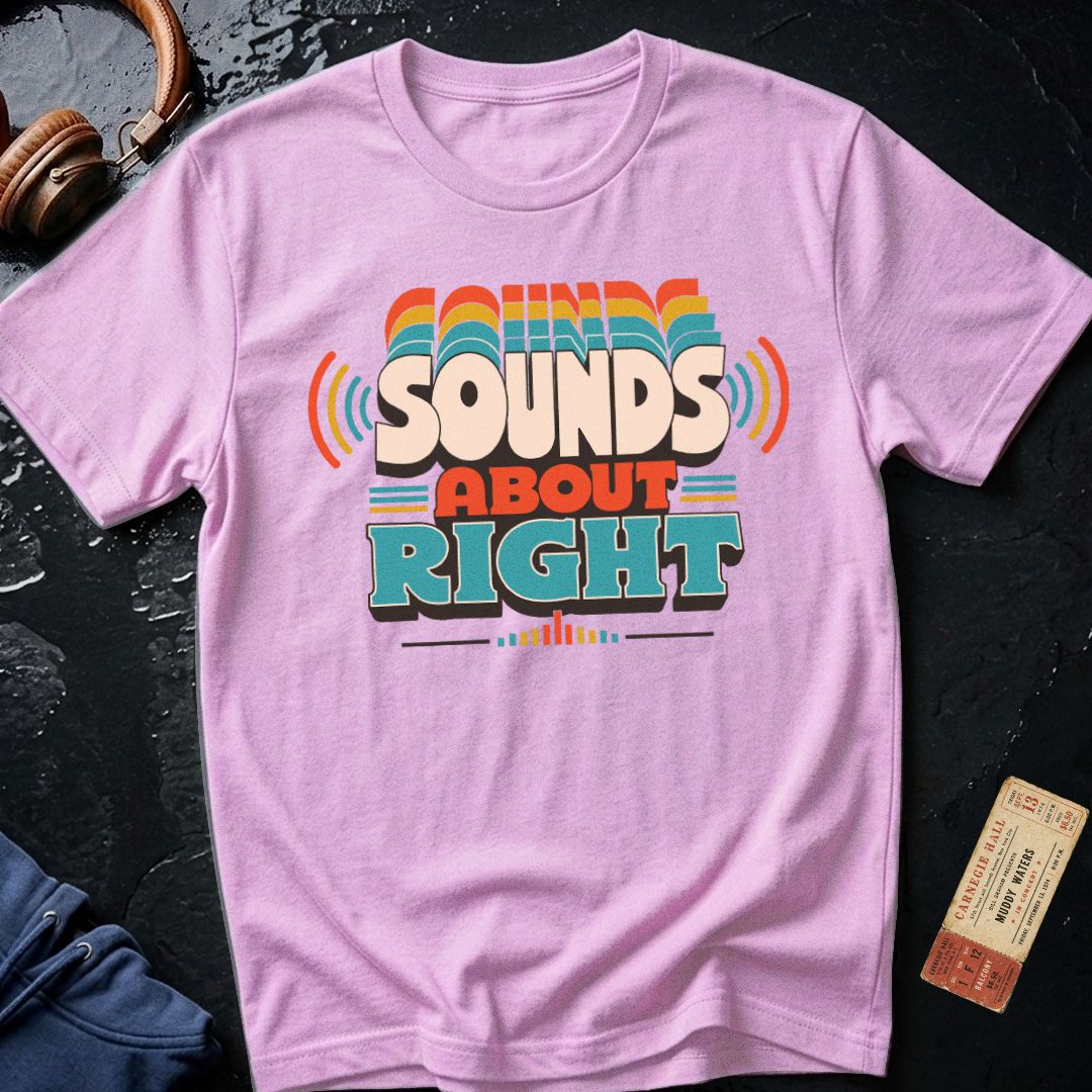 Sounds About Right Analog Audiophile T-Shirt