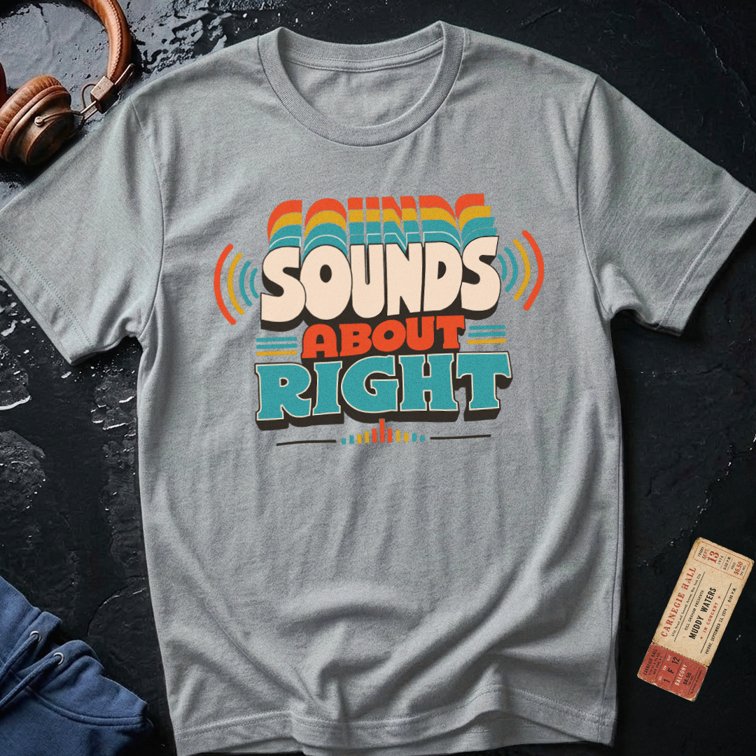 Sounds About Right Analog Audiophile T-Shirt